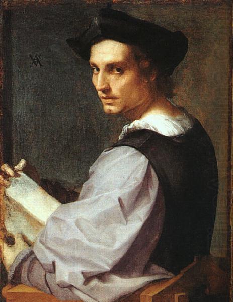Andrea del Sarto Portrait of a Young Man china oil painting image